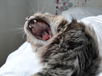 Similar image 22112867