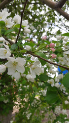 Similar image 22112648