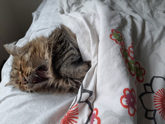 Similar image 22112649