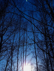 Similar image 22112655