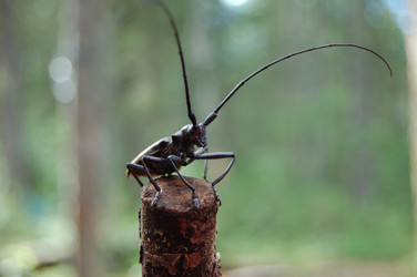 Similar image 22098625