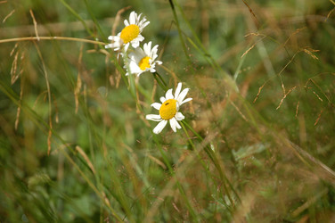 Similar image 22099158