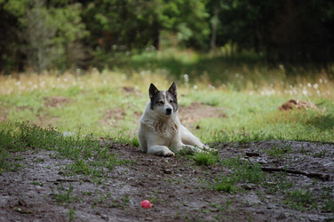 Similar image 22099159