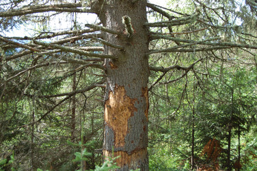 Similar image 22099162