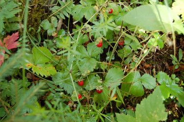 Similar image 22098627