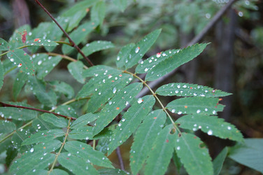 Similar image 22099163