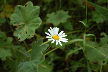 Similar image 22099164