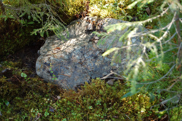 Similar image 22099165