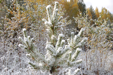 Similar image 22099169