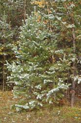 Similar image 22099170