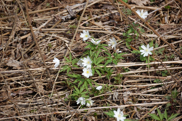 Similar image 22099173