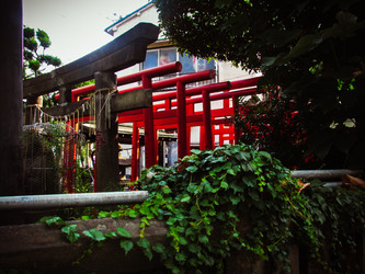 Similar image 22108988