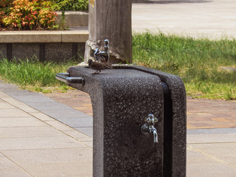 Similar image 22108990