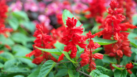 Similar image 22099478