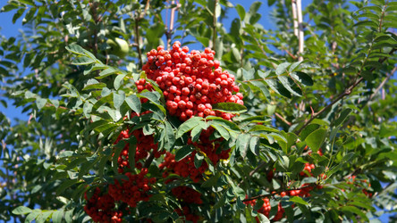 Similar image 22099479