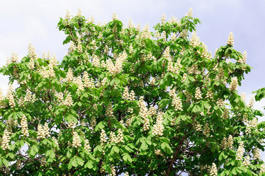 Similar image 22099486