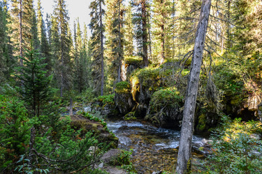 Similar image 22098640