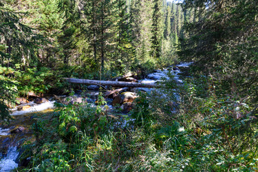 Similar image 22098642