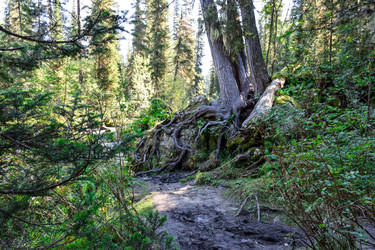 Similar image 22098644