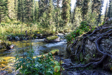 Similar image 22098645