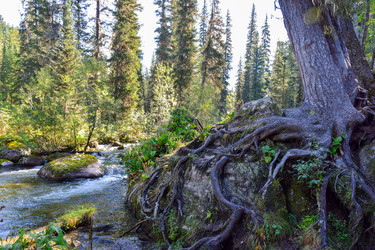 Similar image 22098646