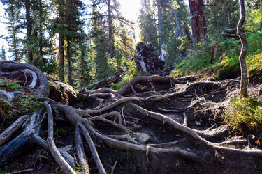 Similar image 22098647