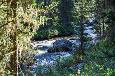 Similar image 22098648