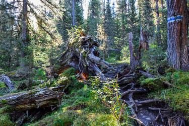 Similar image 22098649