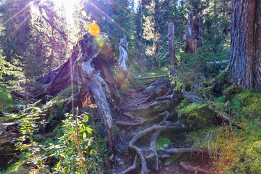 Similar image 22098651