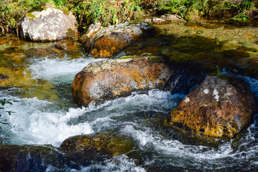 Similar image 22098653