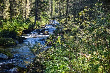 Similar image 22098654