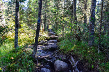 Similar image 22098655