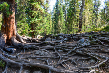 Similar image 22098791