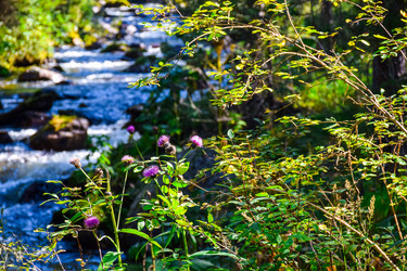 Similar image 22098792