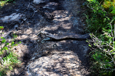 Similar image 22098793