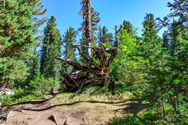 Similar image 22098794