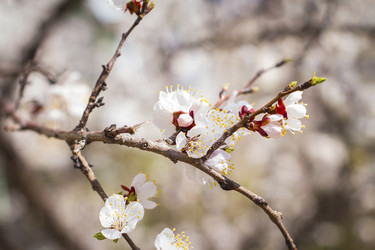 Similar image 22099294