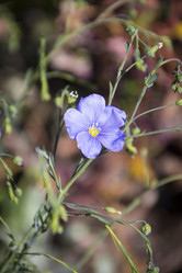 Similar image 22099295