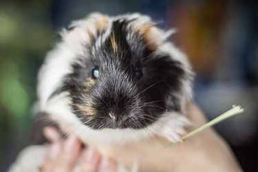 Similar image 22099296