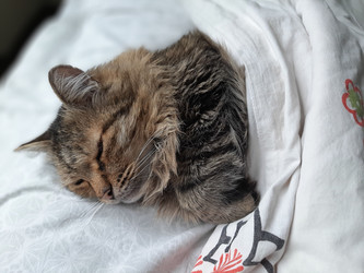 Similar image 22112679