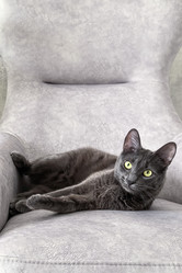 Similar image 22099416