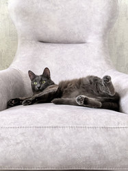 Similar image 22099417