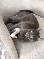 Similar image 22099418