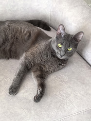 Similar image 22099419