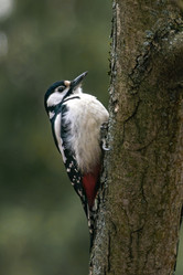 Similar image 22099420