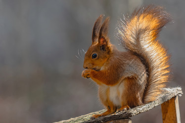 Similar image 22099423