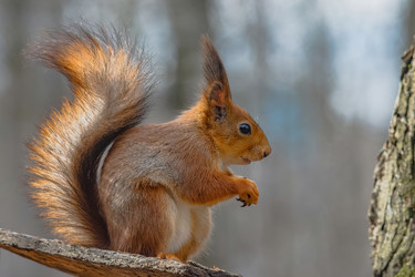 Similar image 22099424