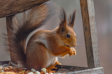 Similar image 22099426