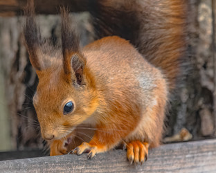 Similar image 22099427