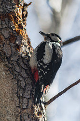 Similar image 22099428